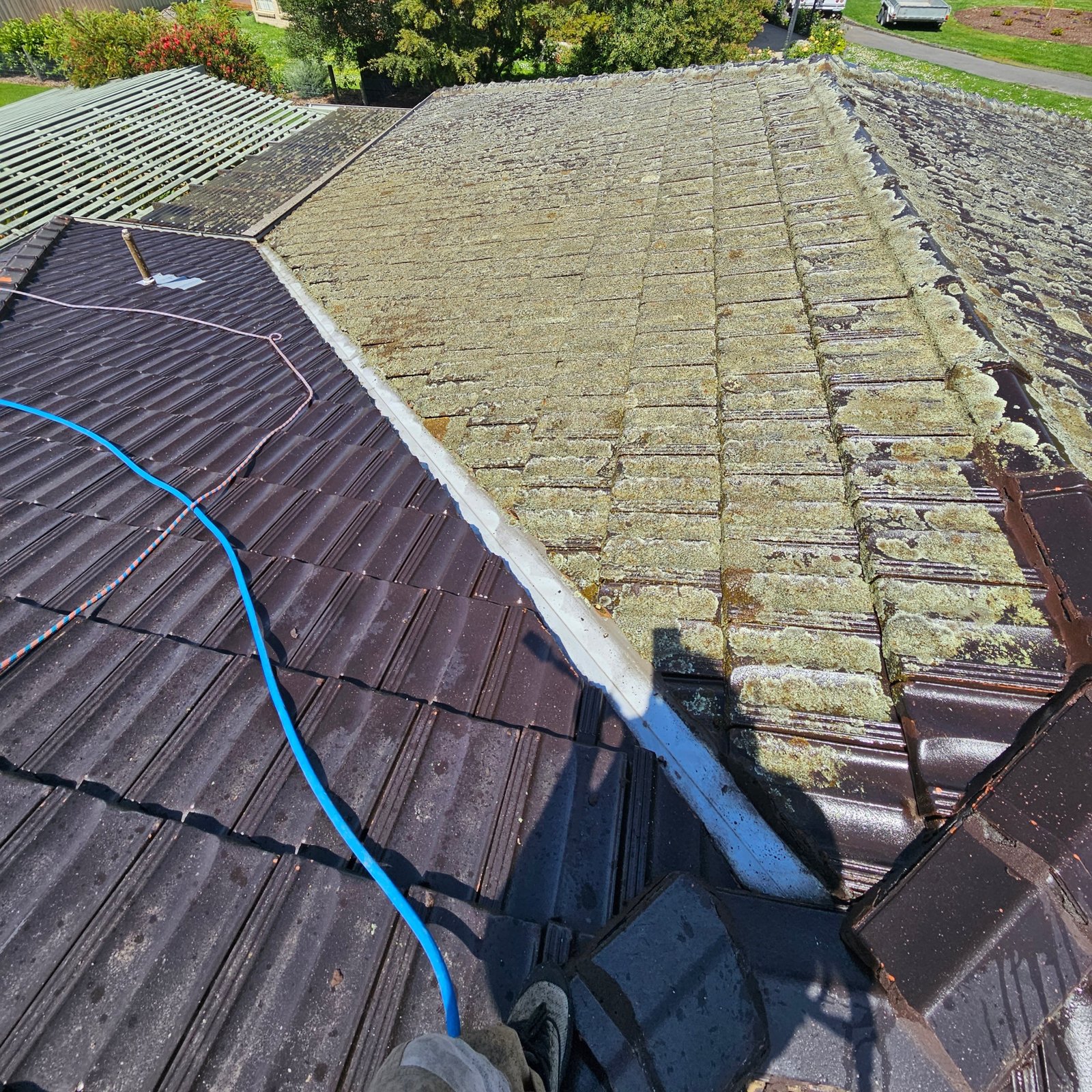 Tiled Roof